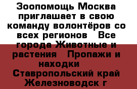 Зоопомощь.Москва приглашает в свою команду волонтёров со всех регионов - Все города Животные и растения » Пропажи и находки   . Ставропольский край,Железноводск г.